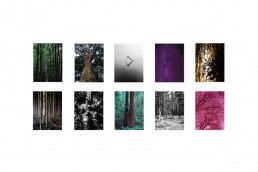 Forest Series